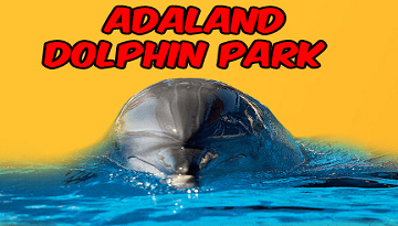 adaland dolphin park yunuslarla yüzme